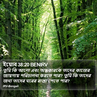 ইয়োব 38:20 BENIRV Bible Verse Image
