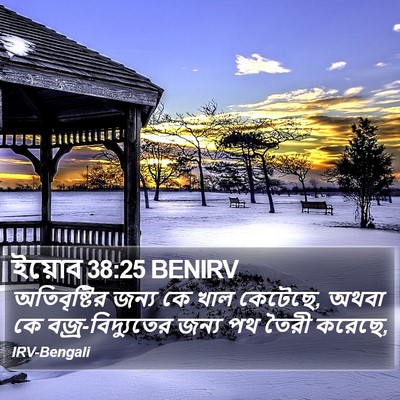 ইয়োব 38:25 BENIRV Bible Verse Image