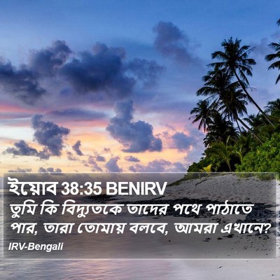 ইয়োব 38:35 BENIRV Bible Verse Image