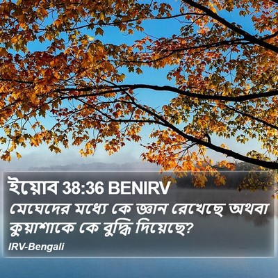ইয়োব 38:36 BENIRV Bible Verse Image