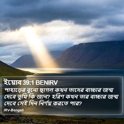 ইয়োব 39:1 BENIRV Bible Verse Image