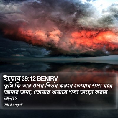 ইয়োব 39:12 BENIRV Bible Verse Image
