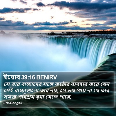 ইয়োব 39:16 BENIRV Bible Verse Image