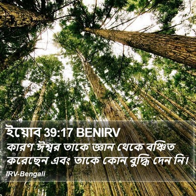ইয়োব 39:17 BENIRV Bible Verse Image