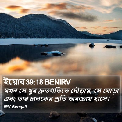 ইয়োব 39:18 BENIRV Bible Verse Image