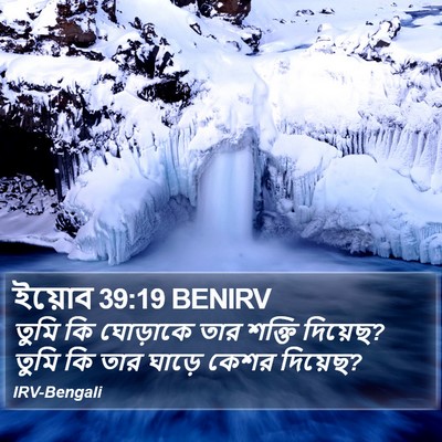 ইয়োব 39:19 BENIRV Bible Verse Image
