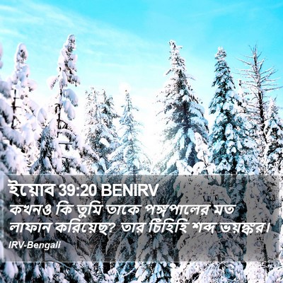 ইয়োব 39:20 BENIRV Bible Verse Image