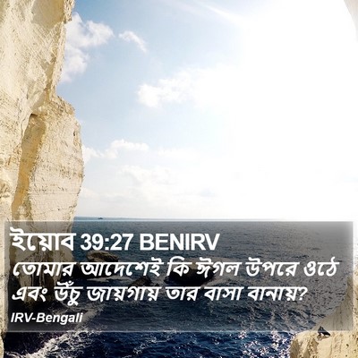 ইয়োব 39:27 BENIRV Bible Verse Image