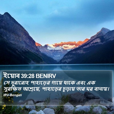 ইয়োব 39:28 BENIRV Bible Verse Image
