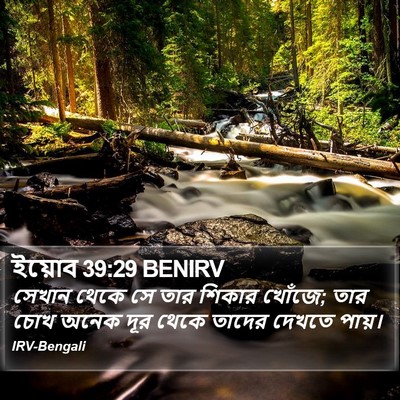 ইয়োব 39:29 BENIRV Bible Verse Image