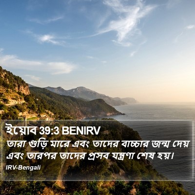 ইয়োব 39:3 BENIRV Bible Verse Image