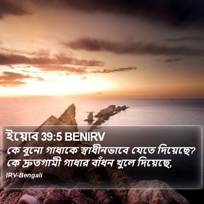 ইয়োব 39:5 BENIRV Bible Verse Image