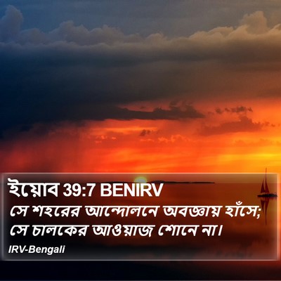 ইয়োব 39:7 BENIRV Bible Verse Image
