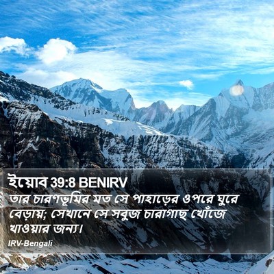ইয়োব 39:8 BENIRV Bible Verse Image