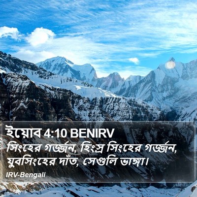 ইয়োব 4:10 BENIRV Bible Verse Image