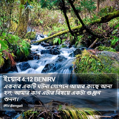ইয়োব 4:12 BENIRV Bible Verse Image