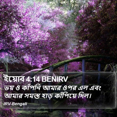 ইয়োব 4:14 BENIRV Bible Verse Image