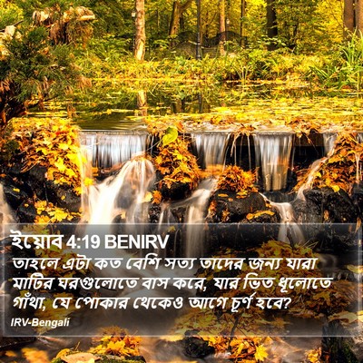 ইয়োব 4:19 BENIRV Bible Verse Image
