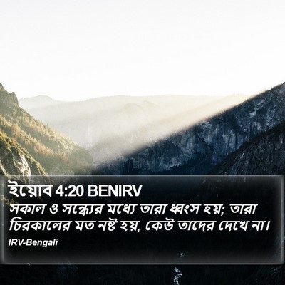 ইয়োব 4:20 BENIRV Bible Verse Image