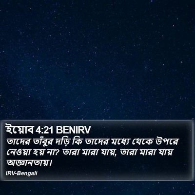 ইয়োব 4:21 BENIRV Bible Verse Image