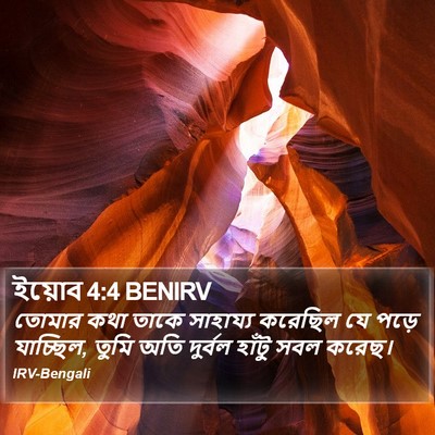 ইয়োব 4:4 BENIRV Bible Verse Image