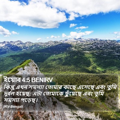 ইয়োব 4:5 BENIRV Bible Verse Image