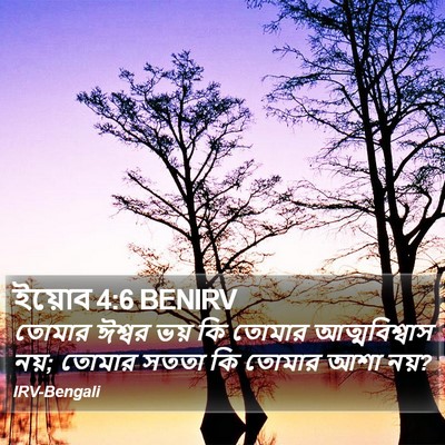 ইয়োব 4:6 BENIRV Bible Verse Image