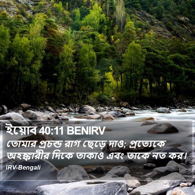 ইয়োব 40:11 BENIRV Bible Verse Image