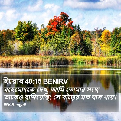 ইয়োব 40:15 BENIRV Bible Verse Image