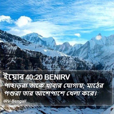 ইয়োব 40:20 BENIRV Bible Verse Image