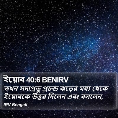 ইয়োব 40:6 BENIRV Bible Verse Image