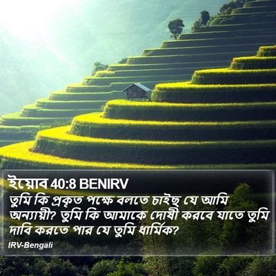 ইয়োব 40:8 BENIRV Bible Verse Image