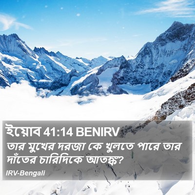 ইয়োব 41:14 BENIRV Bible Verse Image