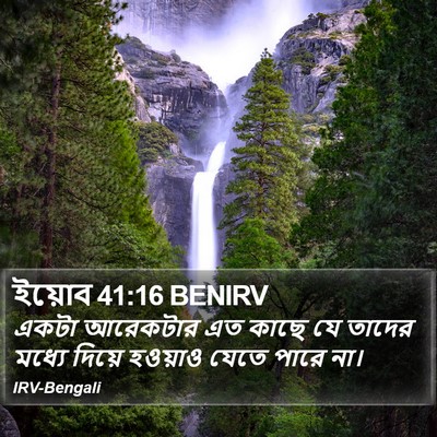 ইয়োব 41:16 BENIRV Bible Verse Image