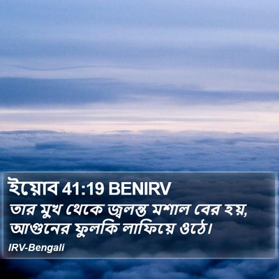 ইয়োব 41:19 BENIRV Bible Verse Image