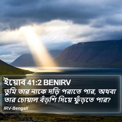 ইয়োব 41:2 BENIRV Bible Verse Image