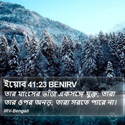 ইয়োব 41:23 BENIRV Bible Verse Image
