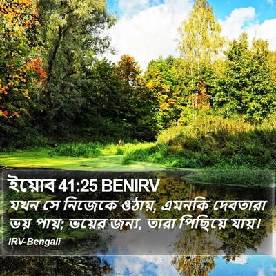 ইয়োব 41:25 BENIRV Bible Verse Image