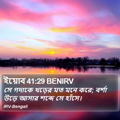 ইয়োব 41:29 BENIRV Bible Verse Image