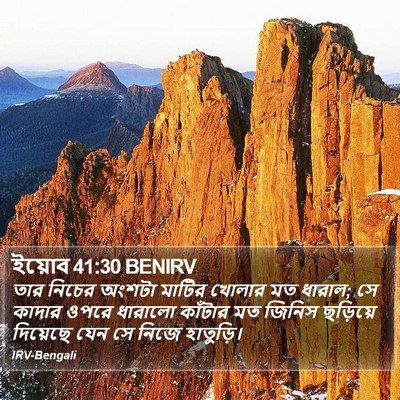 ইয়োব 41:30 BENIRV Bible Verse Image