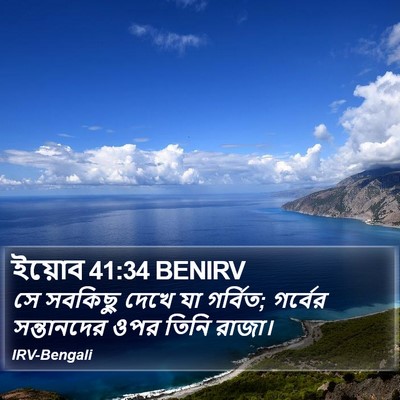 ইয়োব 41:34 BENIRV Bible Verse Image