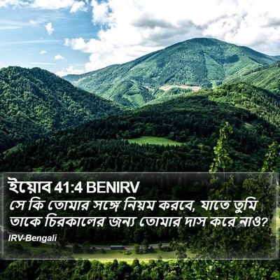 ইয়োব 41:4 BENIRV Bible Verse Image