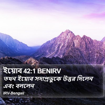 ইয়োব 42:1 BENIRV Bible Verse Image