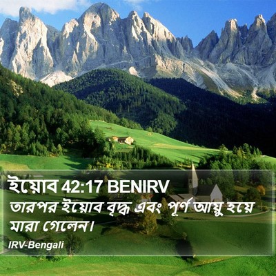 ইয়োব 42:17 BENIRV Bible Verse Image