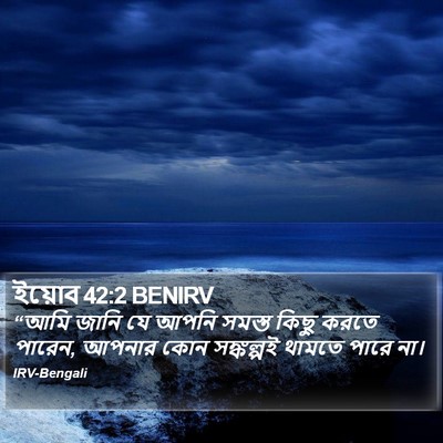 ইয়োব 42:2 BENIRV Bible Verse Image