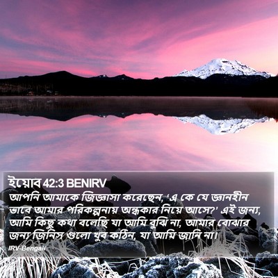 ইয়োব 42:3 BENIRV Bible Verse Image