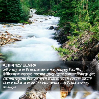 ইয়োব 42:7 BENIRV Bible Verse Image