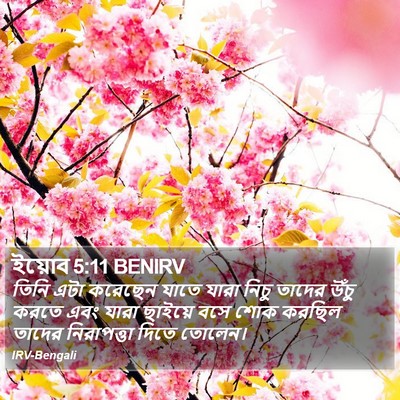 ইয়োব 5:11 BENIRV Bible Verse Image