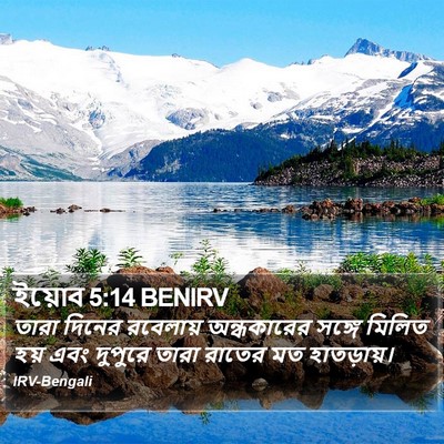 ইয়োব 5:14 BENIRV Bible Verse Image