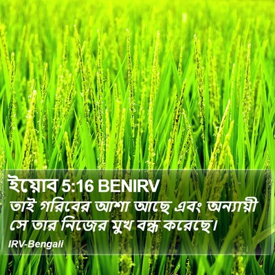 ইয়োব 5:16 BENIRV Bible Verse Image
